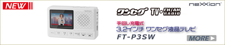 FT-P3SWイメージ